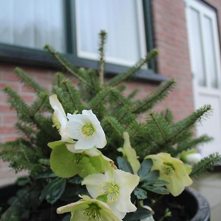 Landzicht Daire Woubrugge Dış mekan fotoğraf