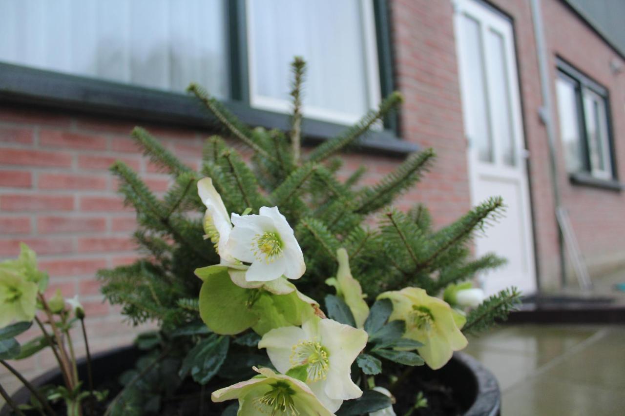 Landzicht Daire Woubrugge Dış mekan fotoğraf